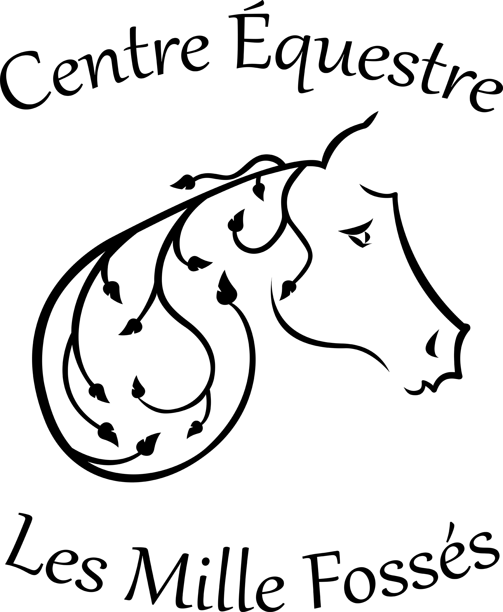 Accueil
