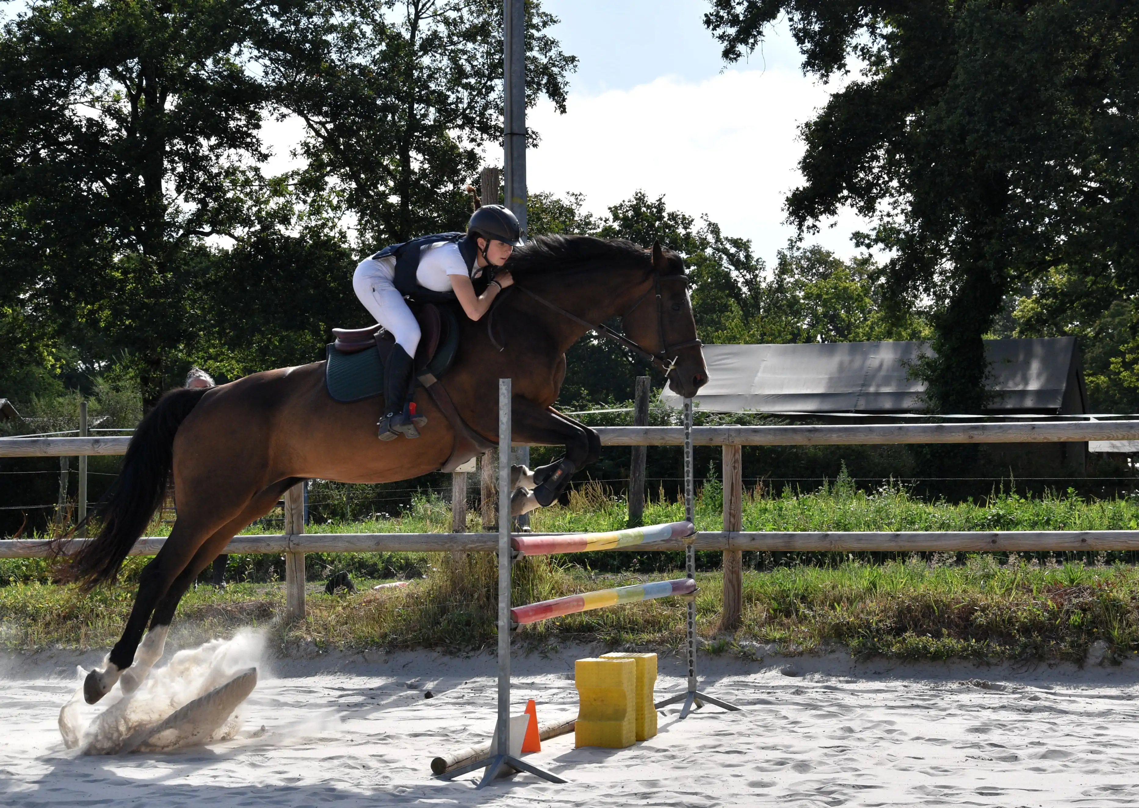 Saut